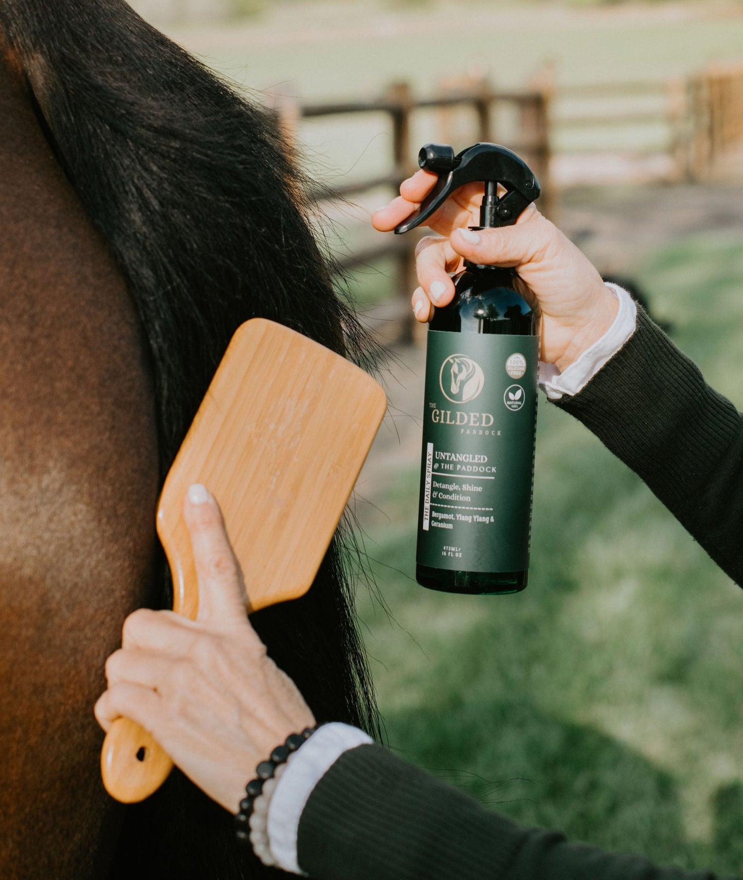 UNTANGLED @ The Paddock - THE DAILY SPRAY