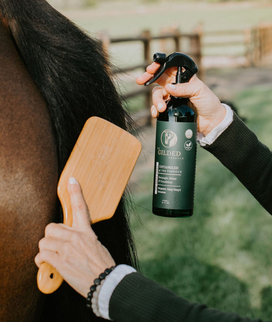 UNTANGLED @ The Paddock - THE DAILY SPRAY