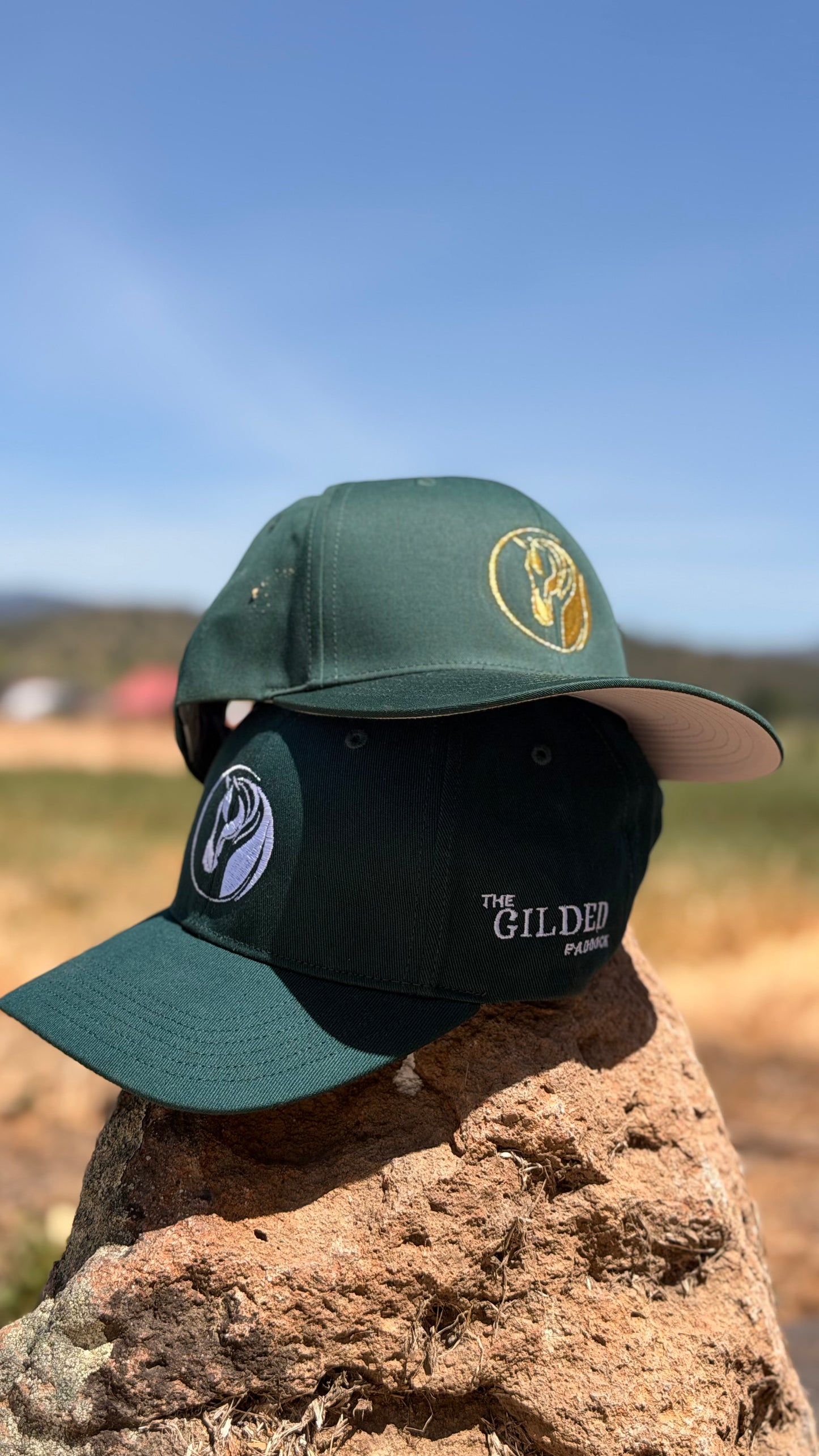 Classic Trucker Hat: Green