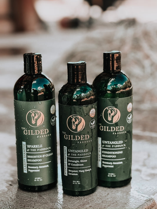 UNTANGLED ✨ Mane Magic Conditioning Shampoo