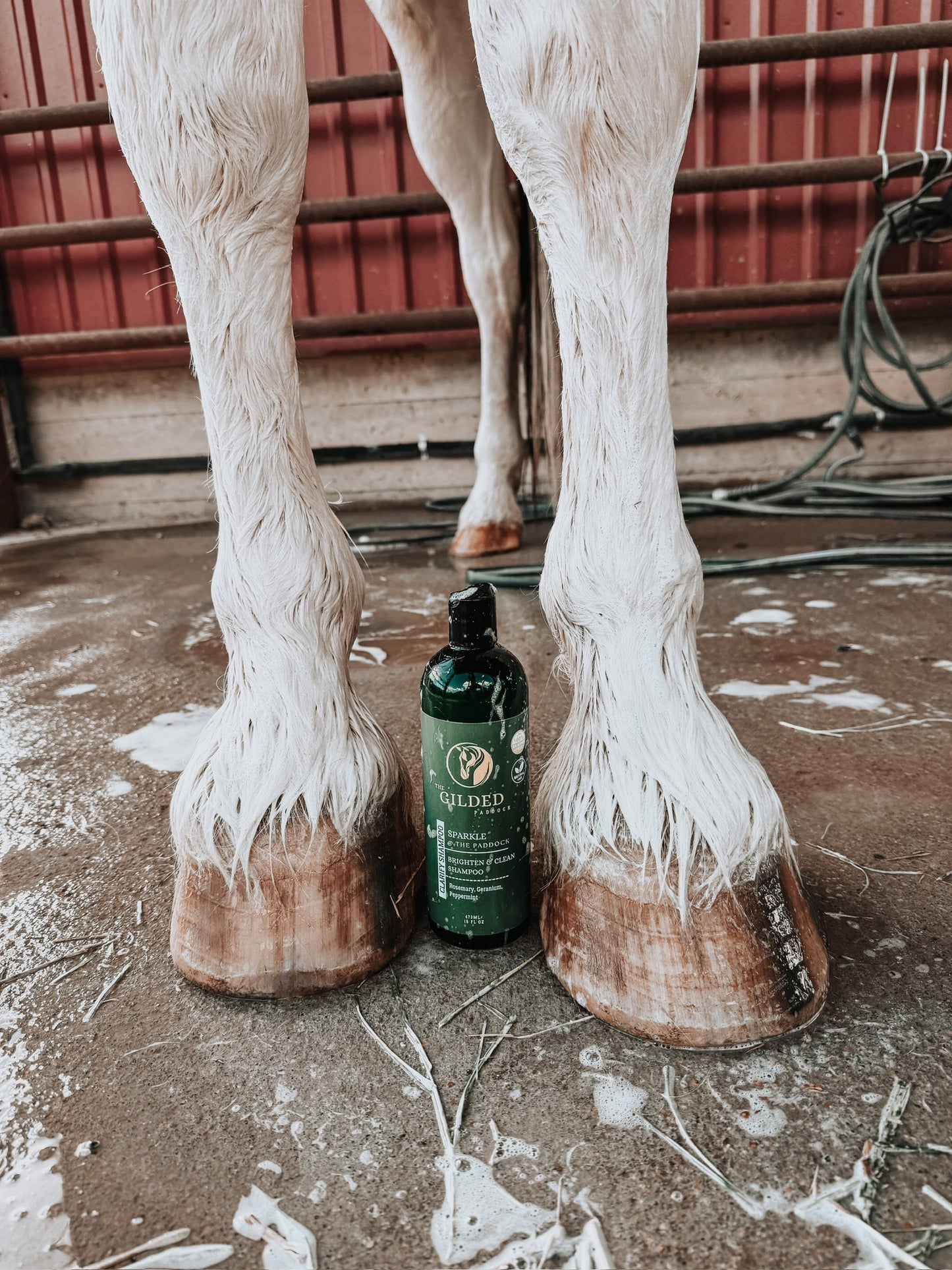 SPARKLE @ The Paddock:  CLARIFY SHAMPOO