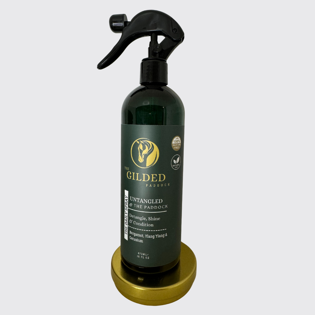 UNTANGLED @ The Paddock - THE DAILY SPRAY