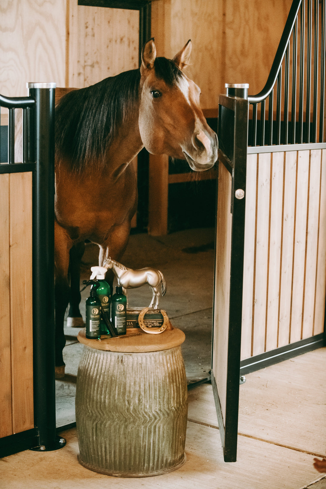 Horse Grooming Was Never Designed as Hair Care