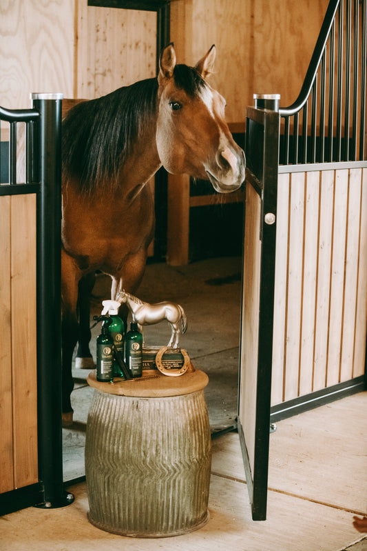 Horse Grooming Was Never Designed as Hair Care