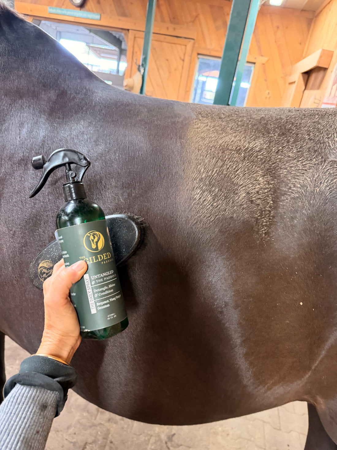 Preparing for Fall: 4 Grooming Tips for a Healthy Coat
