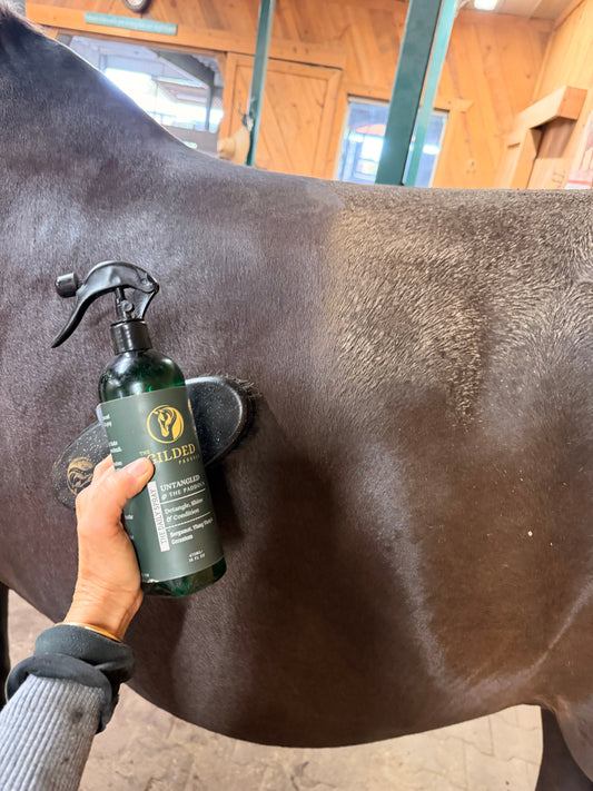 Preparing for Fall: 4 Grooming Tips for a Healthy Coat