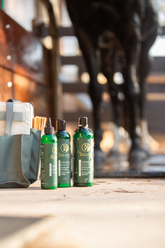 Sheath & Udder Cleaning: Why it Matters & How to Do It Right