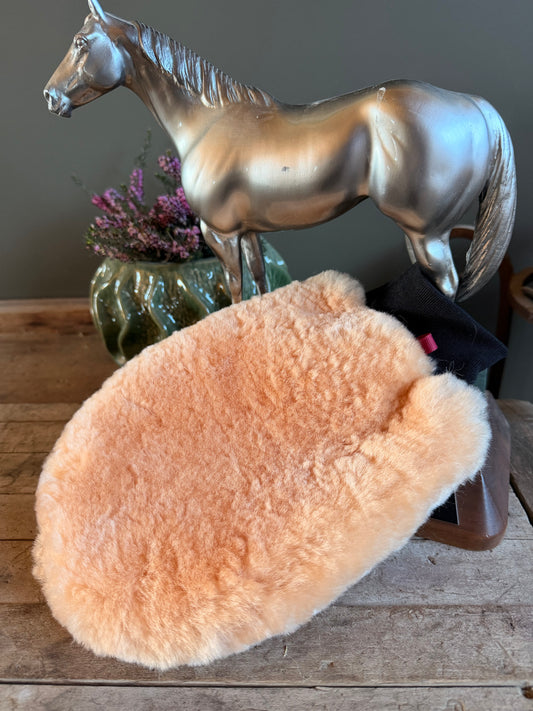 Premium Sheepskin Grooming Mit