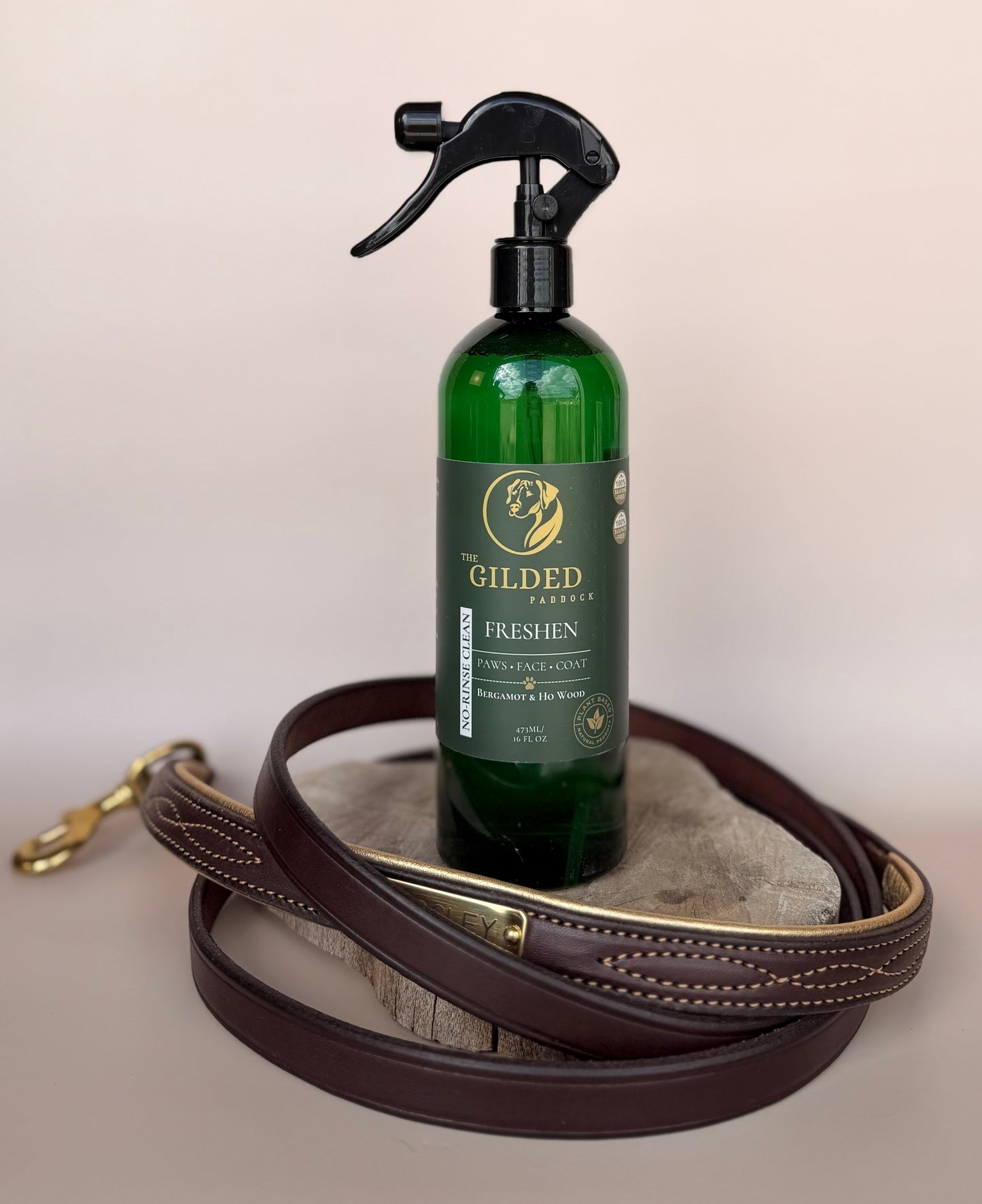 FRESHEN™ | No-Rinse Clean