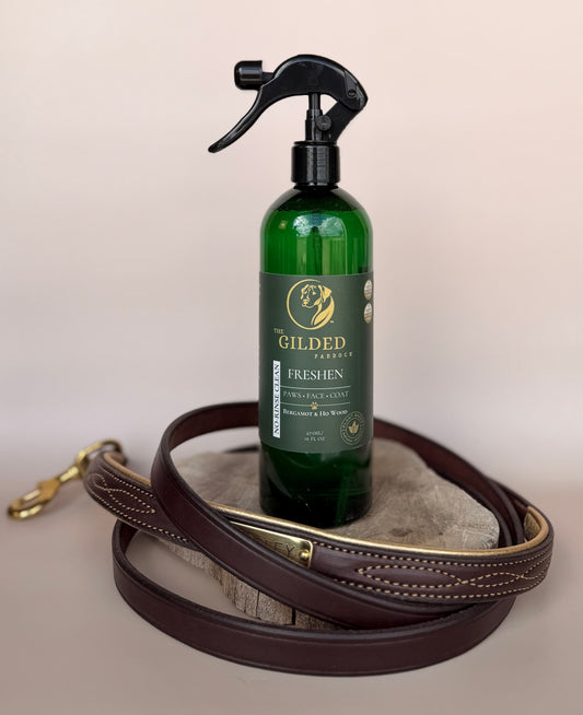 FRESHEN™ | No-Rinse Clean