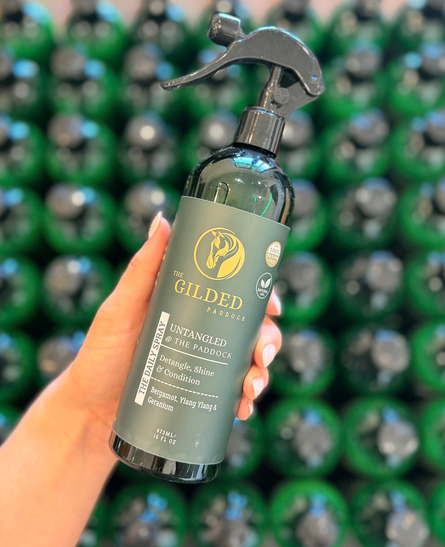 UNTANGLED @ The Paddock - THE DAILY SPRAY