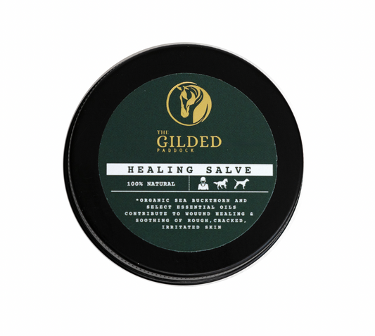 All Natural Healing Salve with Organic Sea Buckthorn oil - The Gilded Paddock