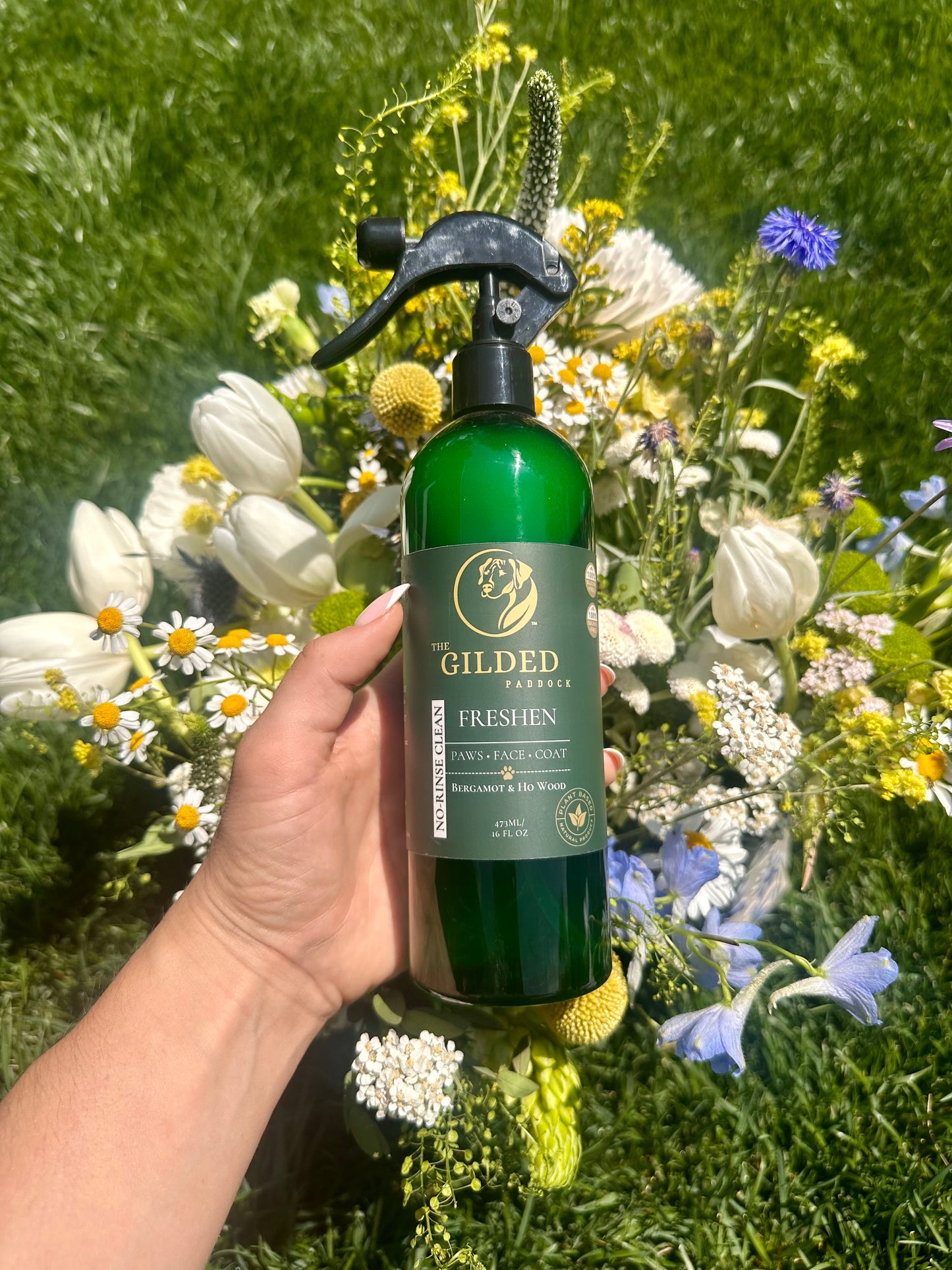 FRESHEN™ | No-Rinse Clean