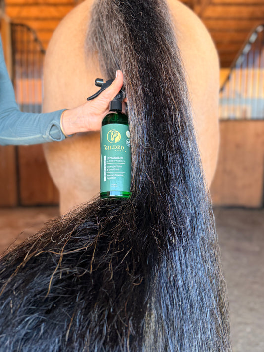GLISTEN - Silicone-Free Mane & Tail Conditioning Spray
