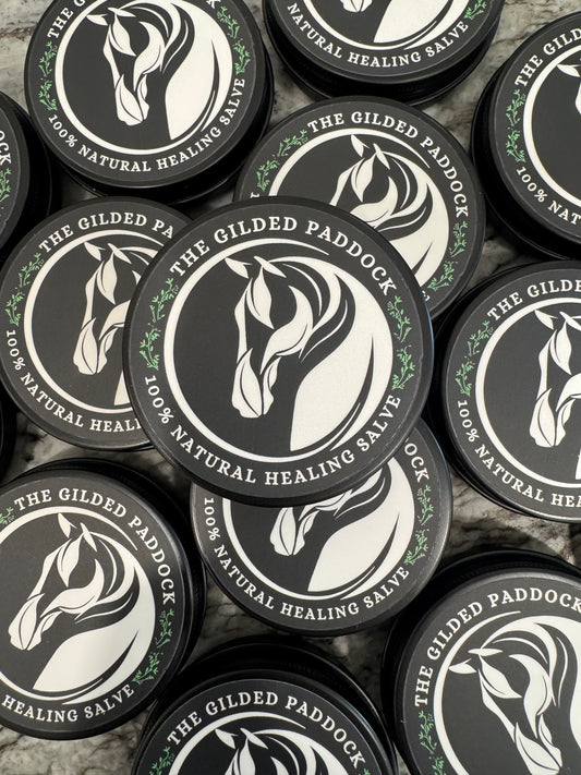 HEALING SALVE - Wound Healing & Protection