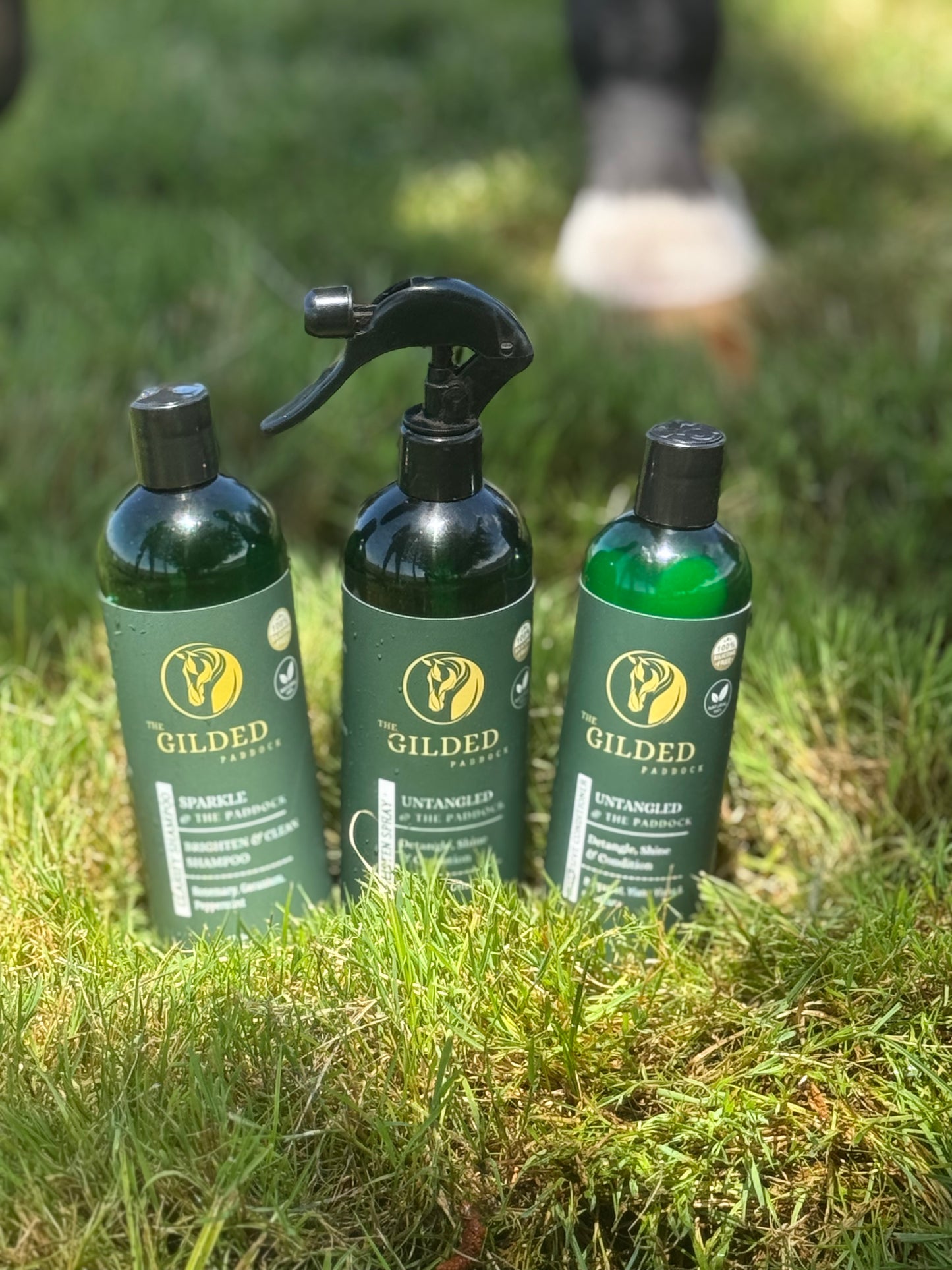 TGP’s Signature Care Kit: The Trio