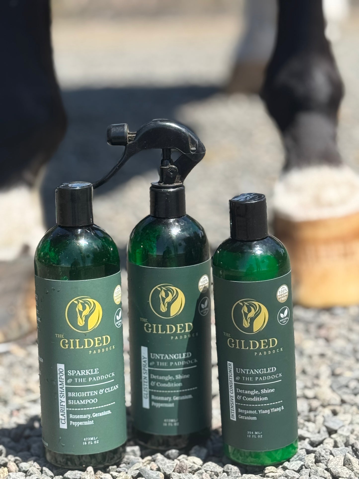 TGP’s Signature Care Kit: The Trio