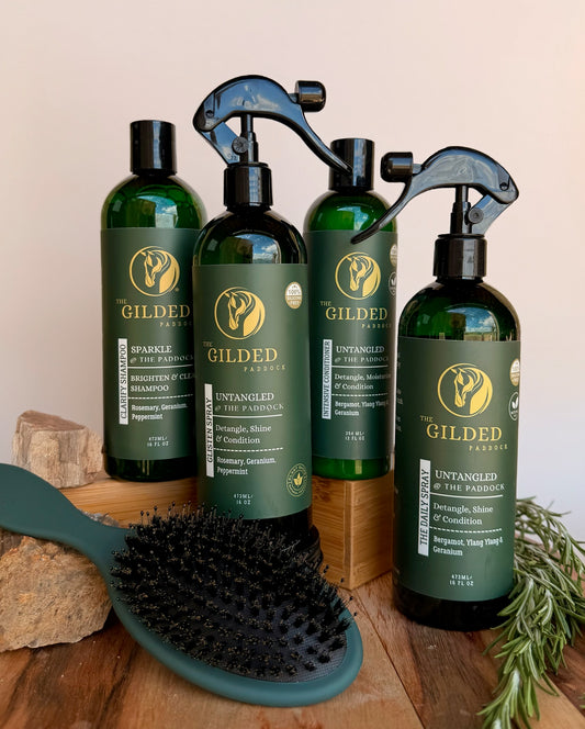 SIGNATURE CARE SYSTEM (4 Products + Detangling Brush)
