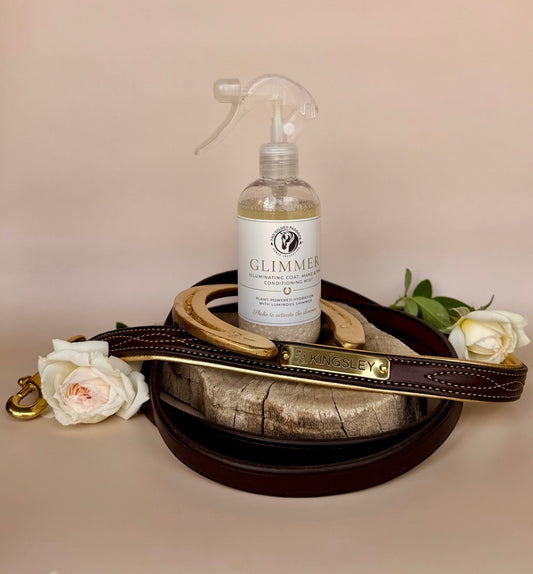 GLIMMER | Illuminating Conditioning Mist (HORSES)