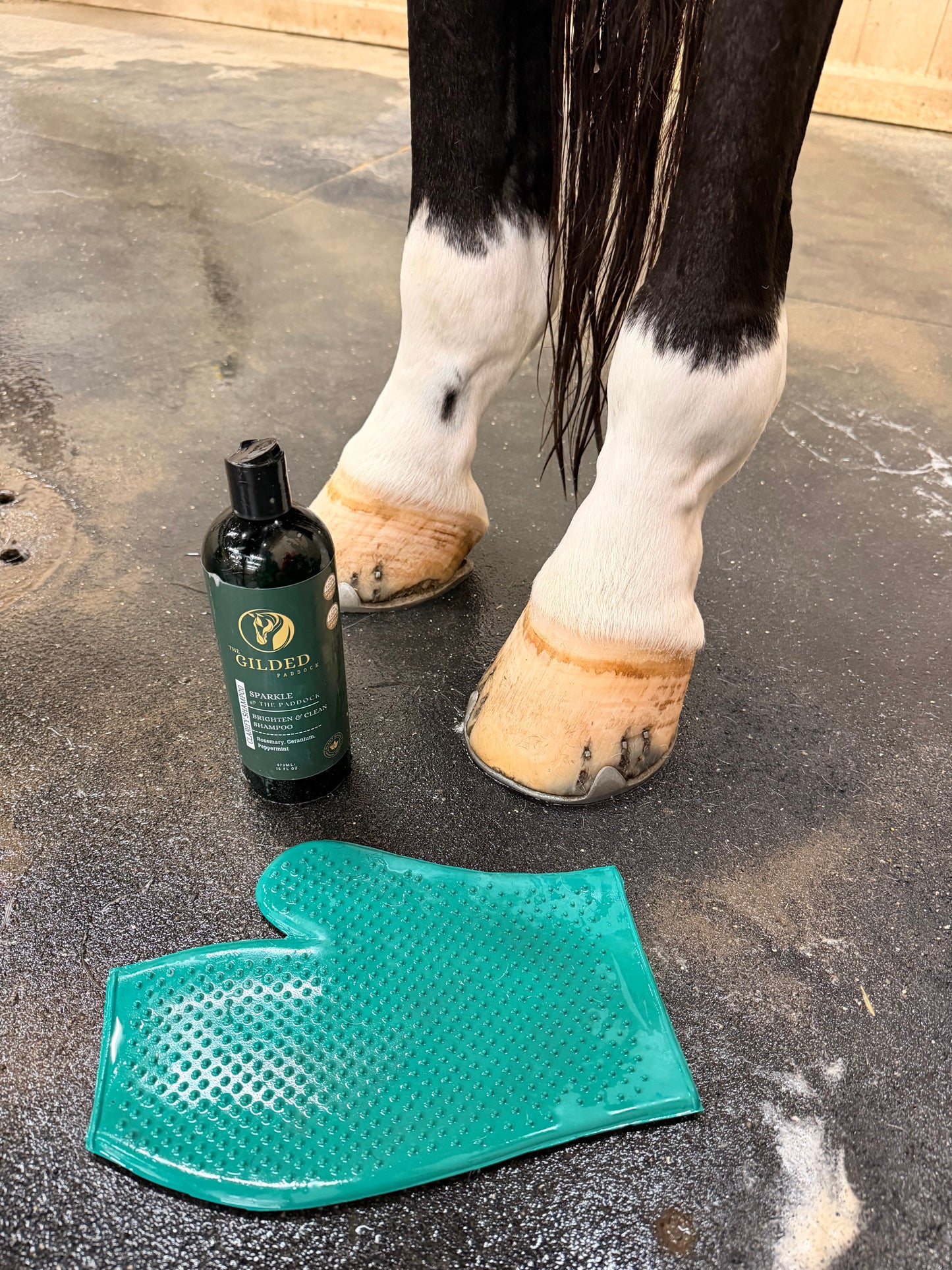 SPARKLE @ The Paddock:  CLARIFY SHAMPOO