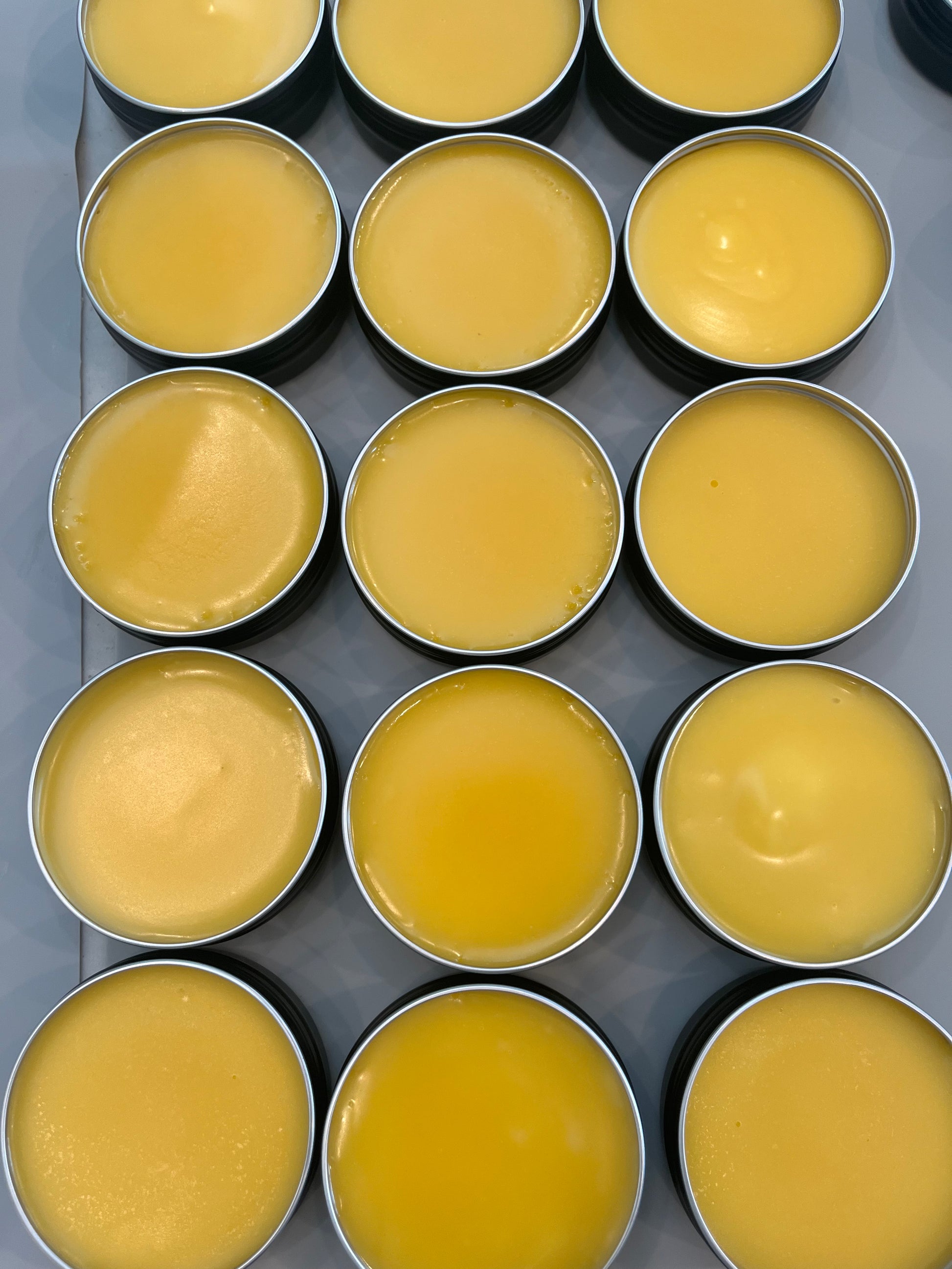 Healing Salve with SeaBuckthorn Seed Extract