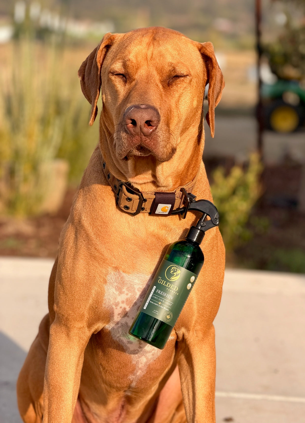 Hank with his bottle of FRESHEN