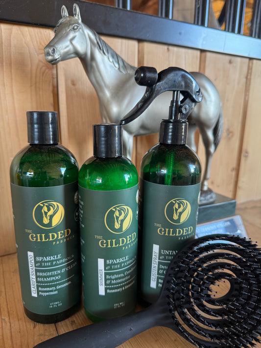 ✨SPARKLE @ The Paddock **BUNDLE**