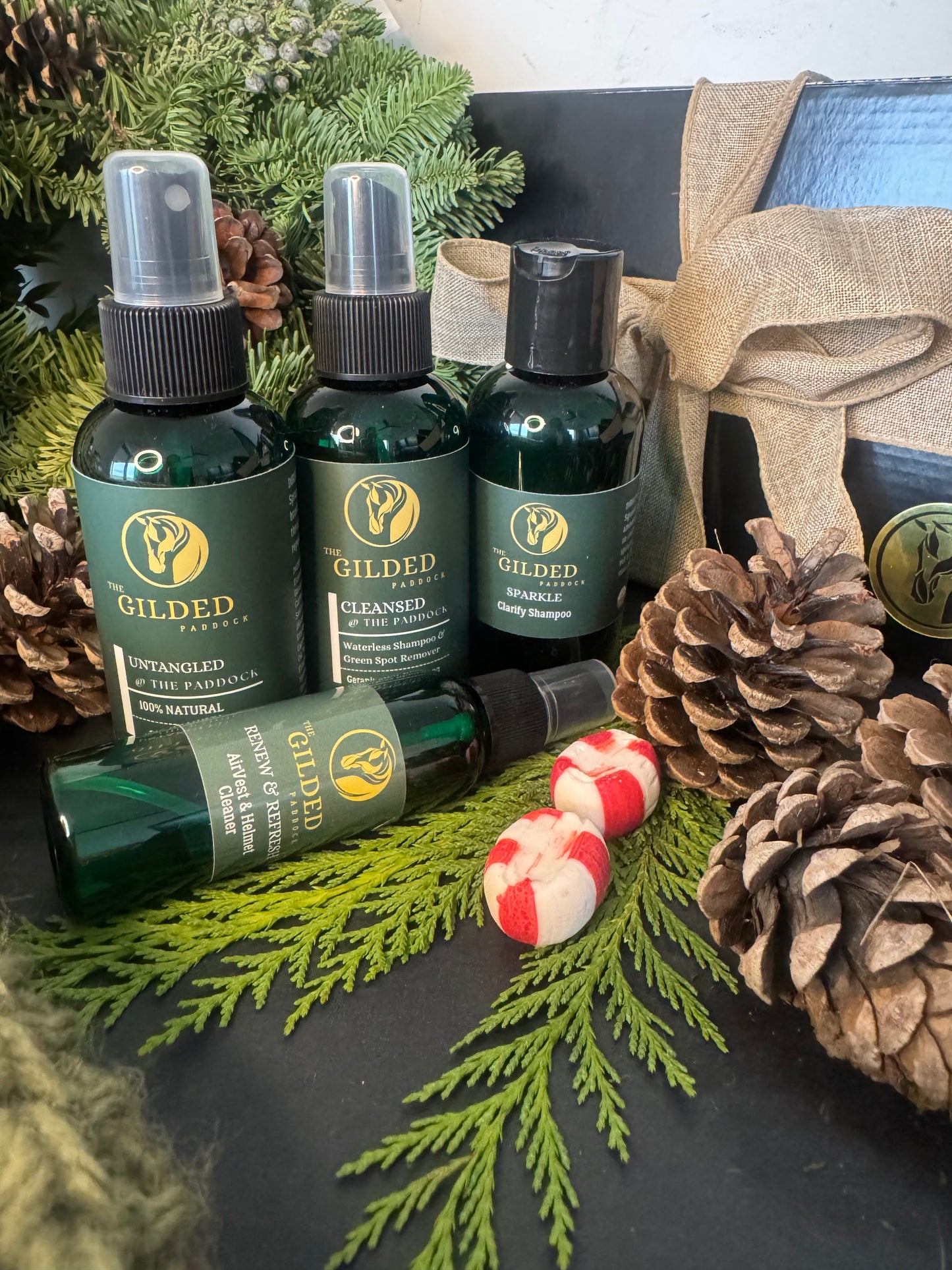 HOLIDAY DISCOVERY SET