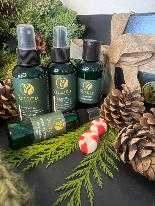 HOLIDAY DISCOVERY SET