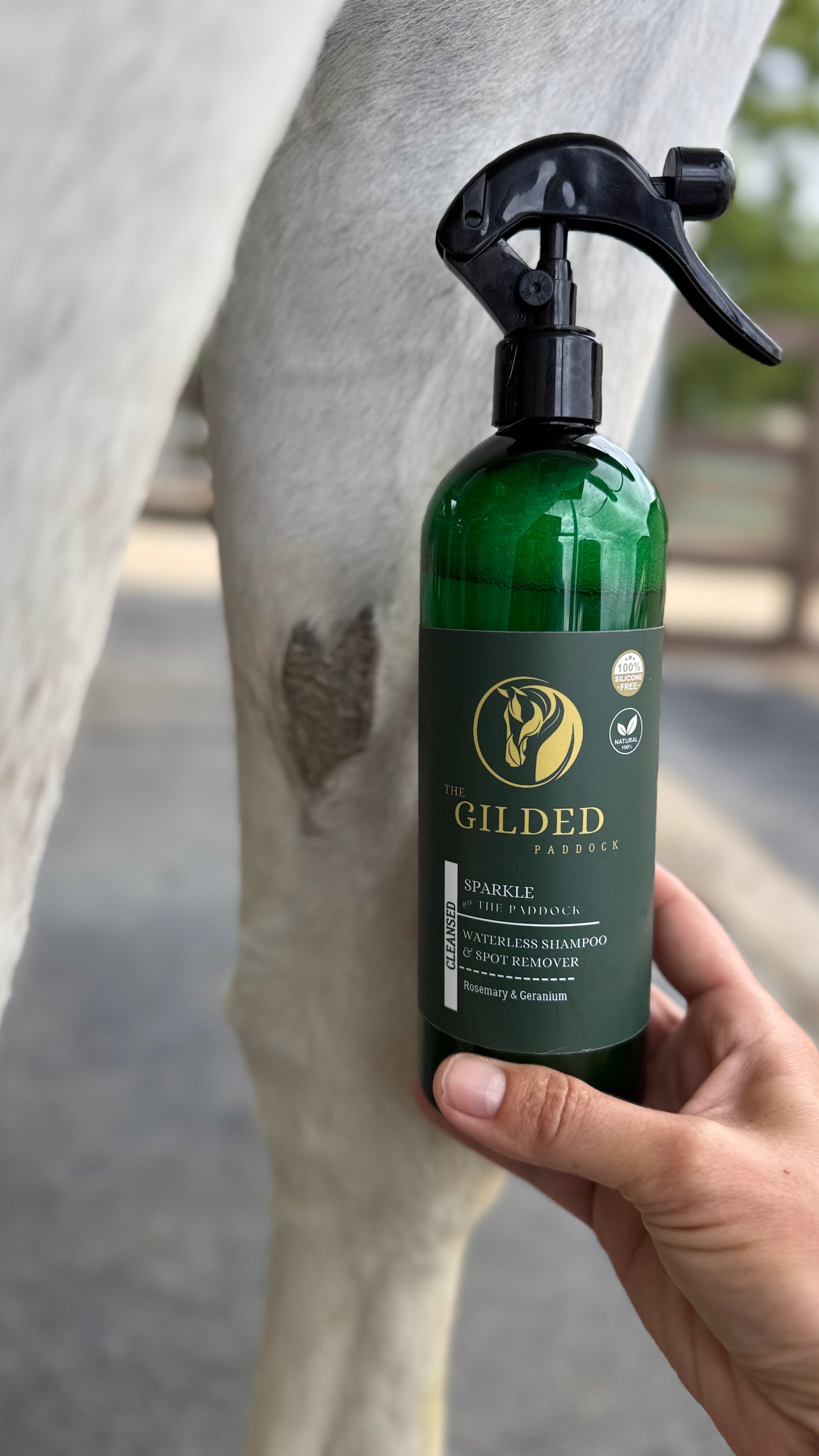 CLEANSED Waterless Shampoo & Spot Remover