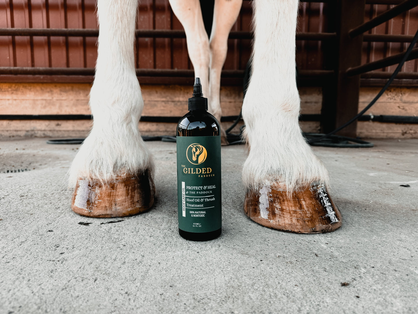 Hoof Oil & Thrush Treatment - 16oz Drip Bottle with Brush/Cap