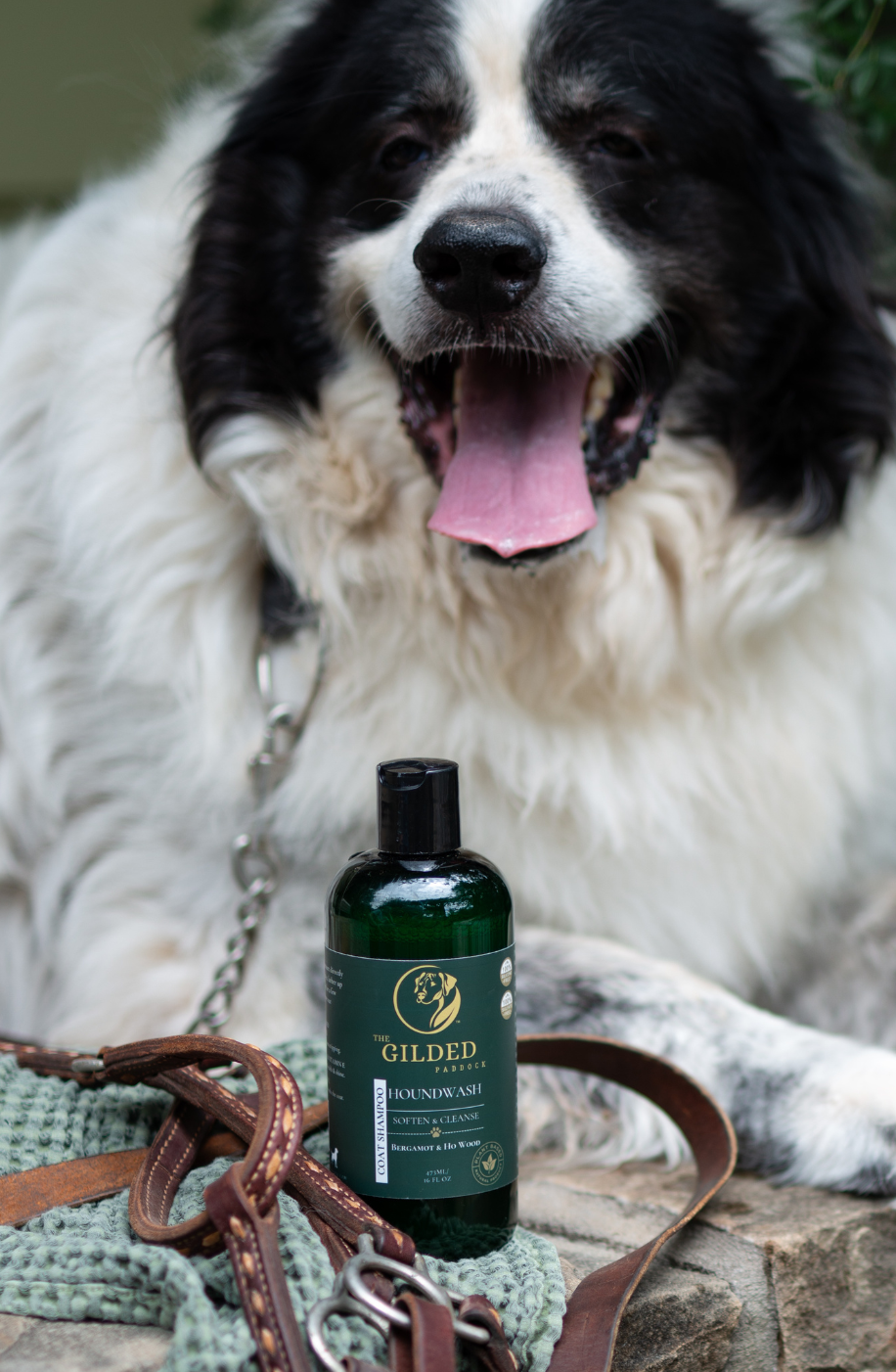 Houndwash Natural Dog Shampoo
