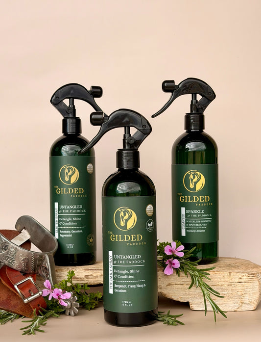 TGP's SPOT CLEAN & SHINE TRIO