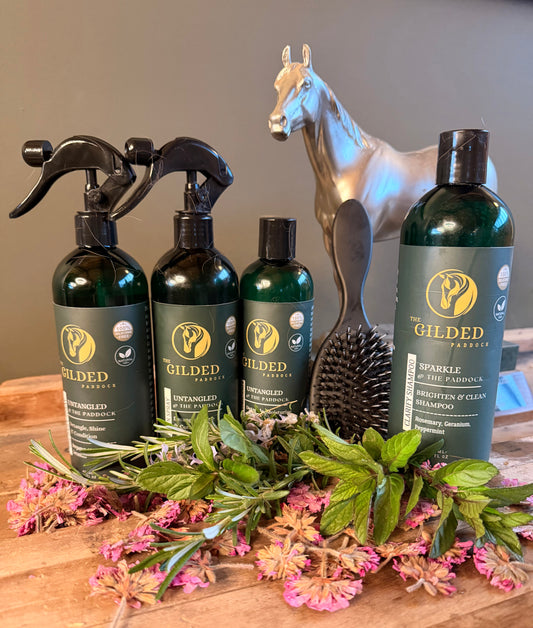 SIGNATURE CARE SYSTEM (4 Products + Detangling Brush)