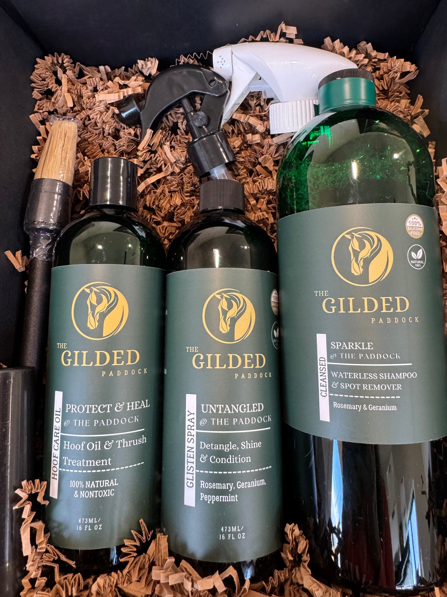 TGP's WINTER Essentials Kit