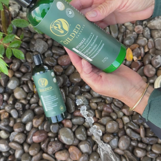 Shimmer conditioner to brighten white horses get horse tails white