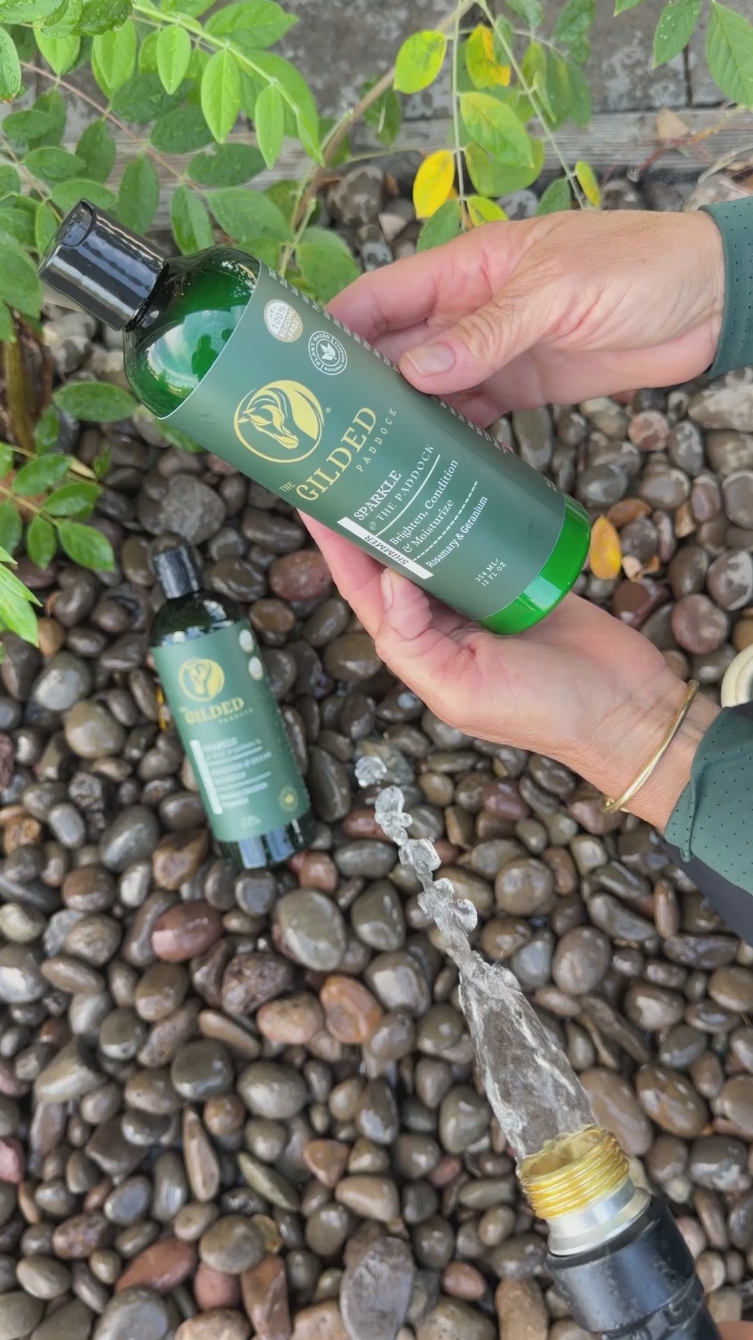 Shimmer conditioner to brighten white horses get horse tails white