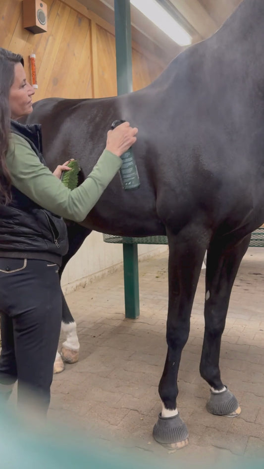 UNTANGLED @ The Paddock - THE DAILY SPRAY