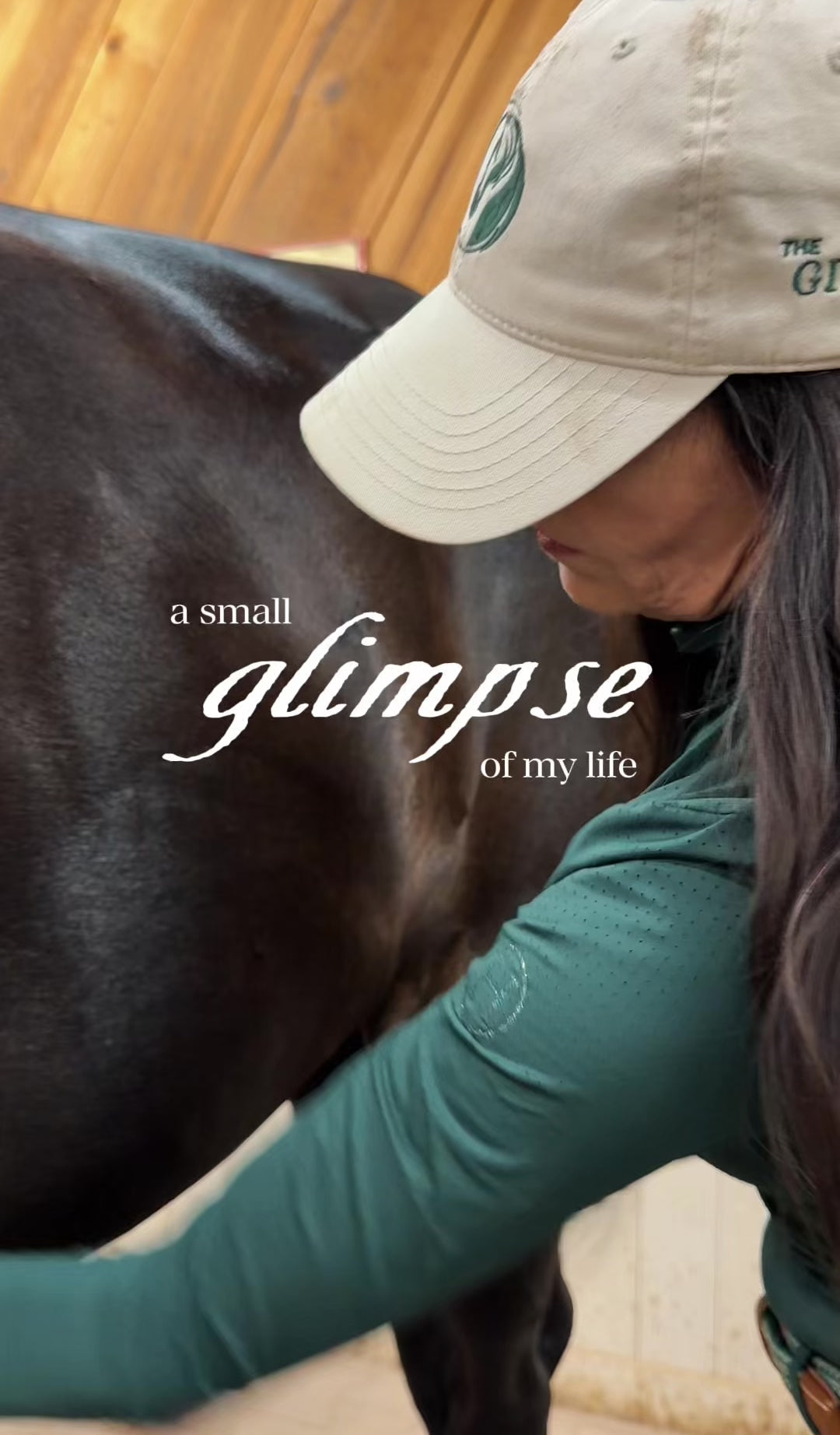 Load video: A Glimpse of TGP Founder grooming